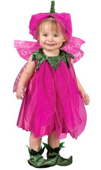fairy