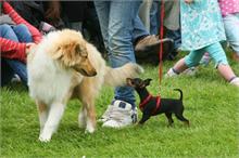 344